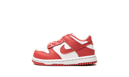 Nike Kid's Dunk Low Sneaker