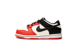 Nike Kid's Dunk Low Sneaker