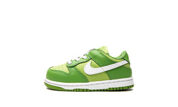 Nike Kid's Dunk Low Sneaker